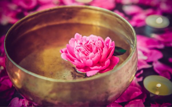 Balance and Bloom Gift Card